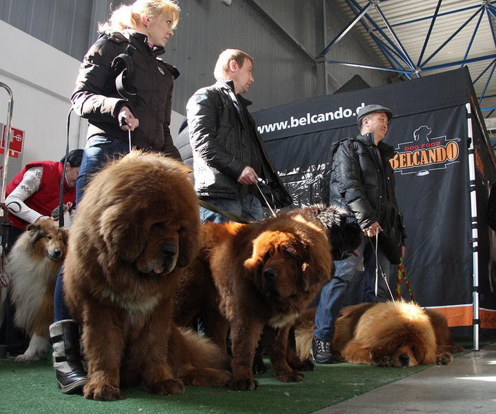 http://bigpicture.ru/wp-content/uploads/2014/11/Gangsen04.jpg