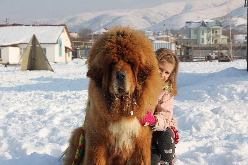 http://bigpicture.ru/wp-content/uploads/2014/11/Gangsen05.jpg