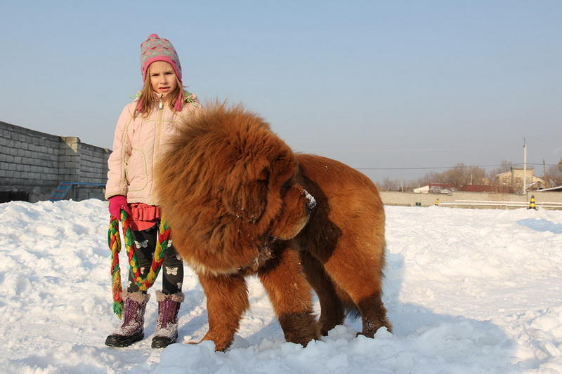 http://bigpicture.ru/wp-content/uploads/2014/11/Gangsen12.jpg