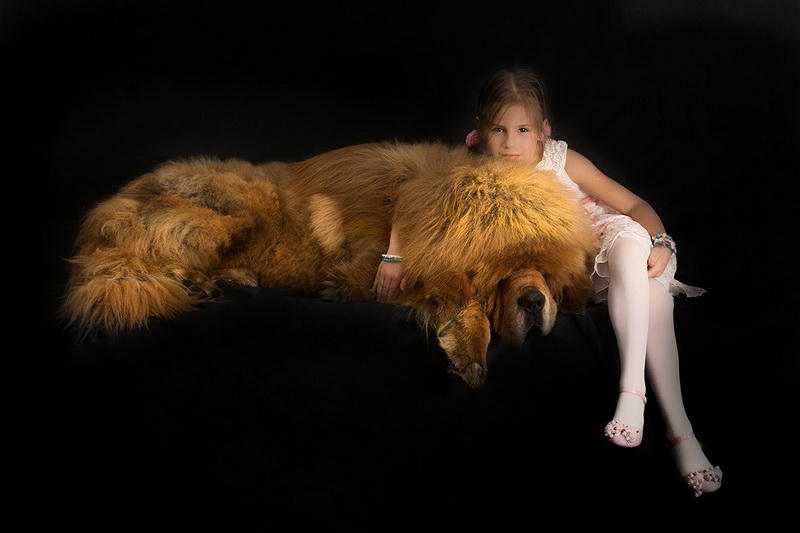 http://bigpicture.ru/wp-content/uploads/2014/11/Gangsen15.jpg