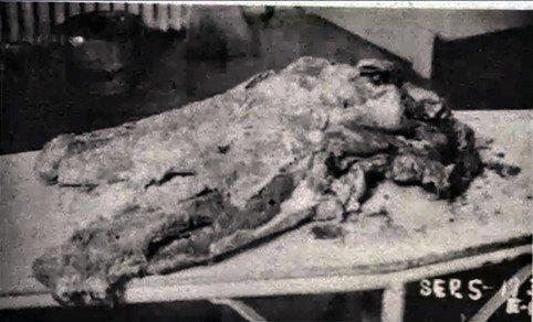 что стало с глорией и эшли. 714061 21. что стало с глорией и эшли фото. что стало с глорией и эшли-714061 21. картинка что стало с глорией и эшли. картинка 714061 21.