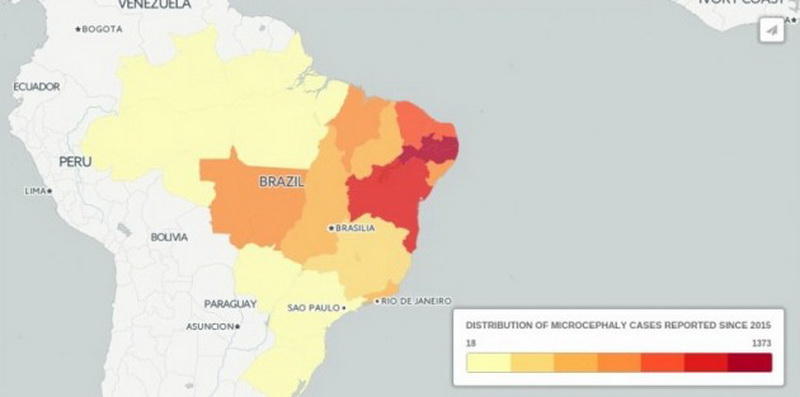 Карта вспышки микроцефалии