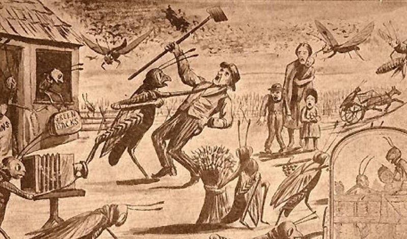 Год саранчиСухая весна 1874 года была очень благоприятна для саранчи, отложившей триллионы яиц в прериях у Скалистых гор. Летом все это полчище вылупилось и уничтожило все, что росло в Небраске, Канзасе, Дакоте и Айове. Год саранчиСухая весна 1874 года была очень благоприятна для саранчи, отложившей триллионы яиц в прериях у Скалистых гор. Летом все это полчище вылупилось и уничтожило все, что росло в Небраске, Канзасе, Дакоте и Айове.