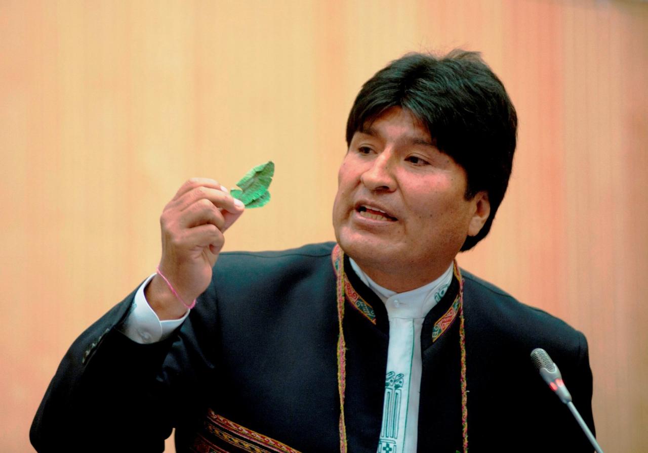 Министр обороны Боливии заявил об угрозах жизни президенту страны