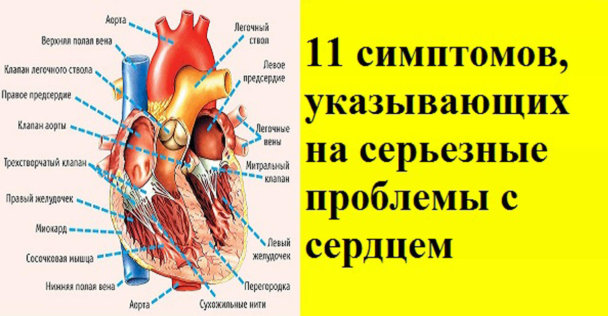 Какие могут быть проблемы с сердцем