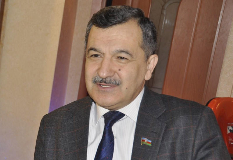Айдын Мирзазаде о том, какими будут реформы после референдума