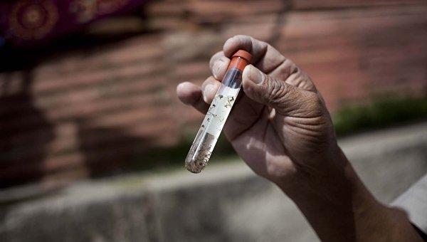 Власти Доминиканы сообщили о 56 случаях заболевания лихорадкой Зика