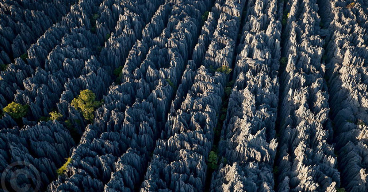 Каменный лес Цинги: это стоит увидеть своими глазами