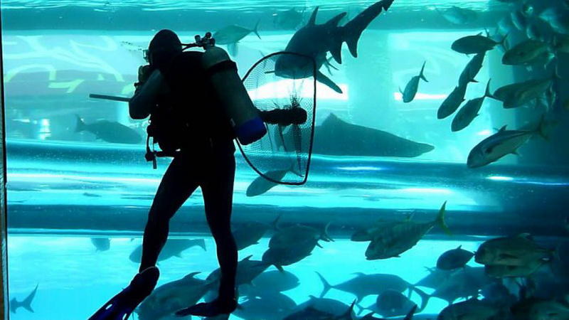  Самые необычные плавательные бассейны в мире