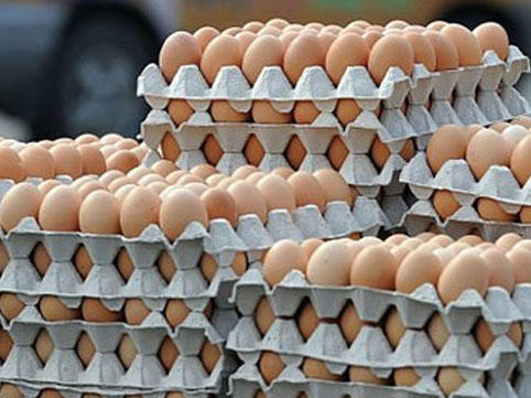 Azərbaycanda viruslu yumurta satılır?