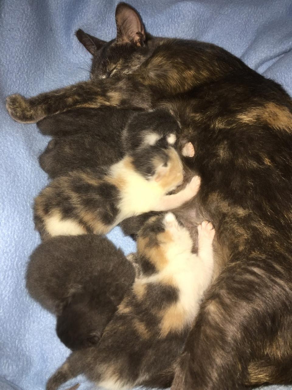 3