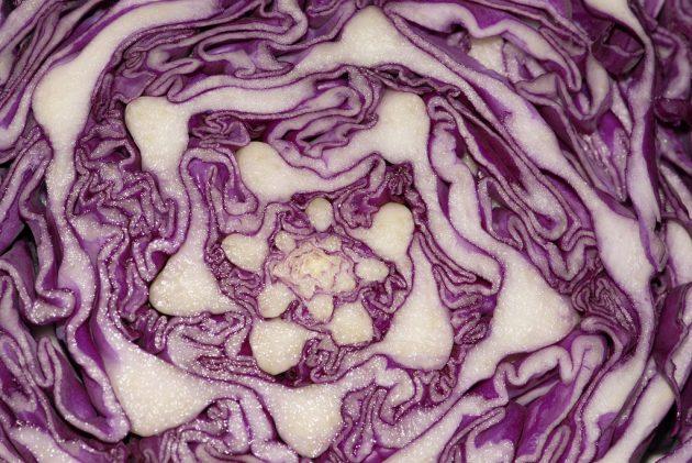 полезные продукты: краснокочанная капуста