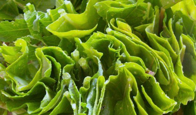 полезные продукты: листовые овощи