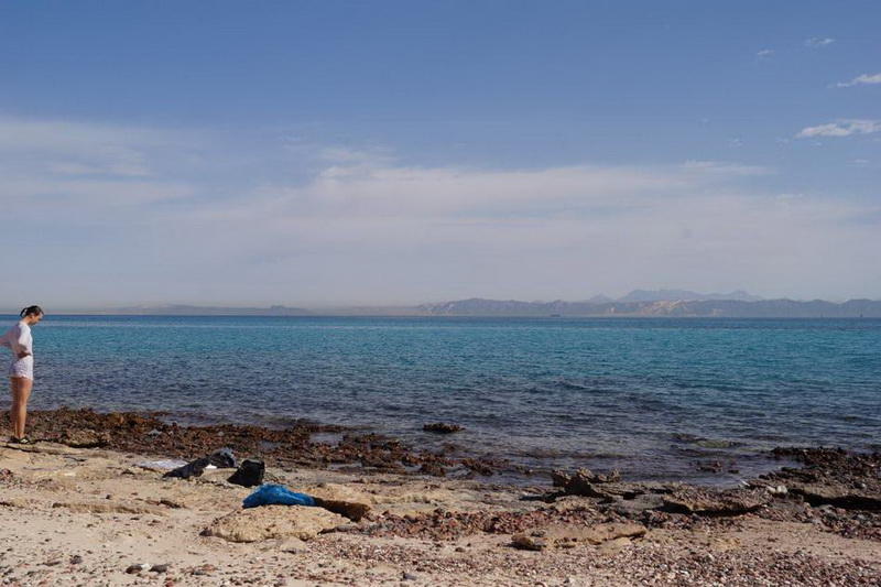 swimming-in-the-red-sea-egypt