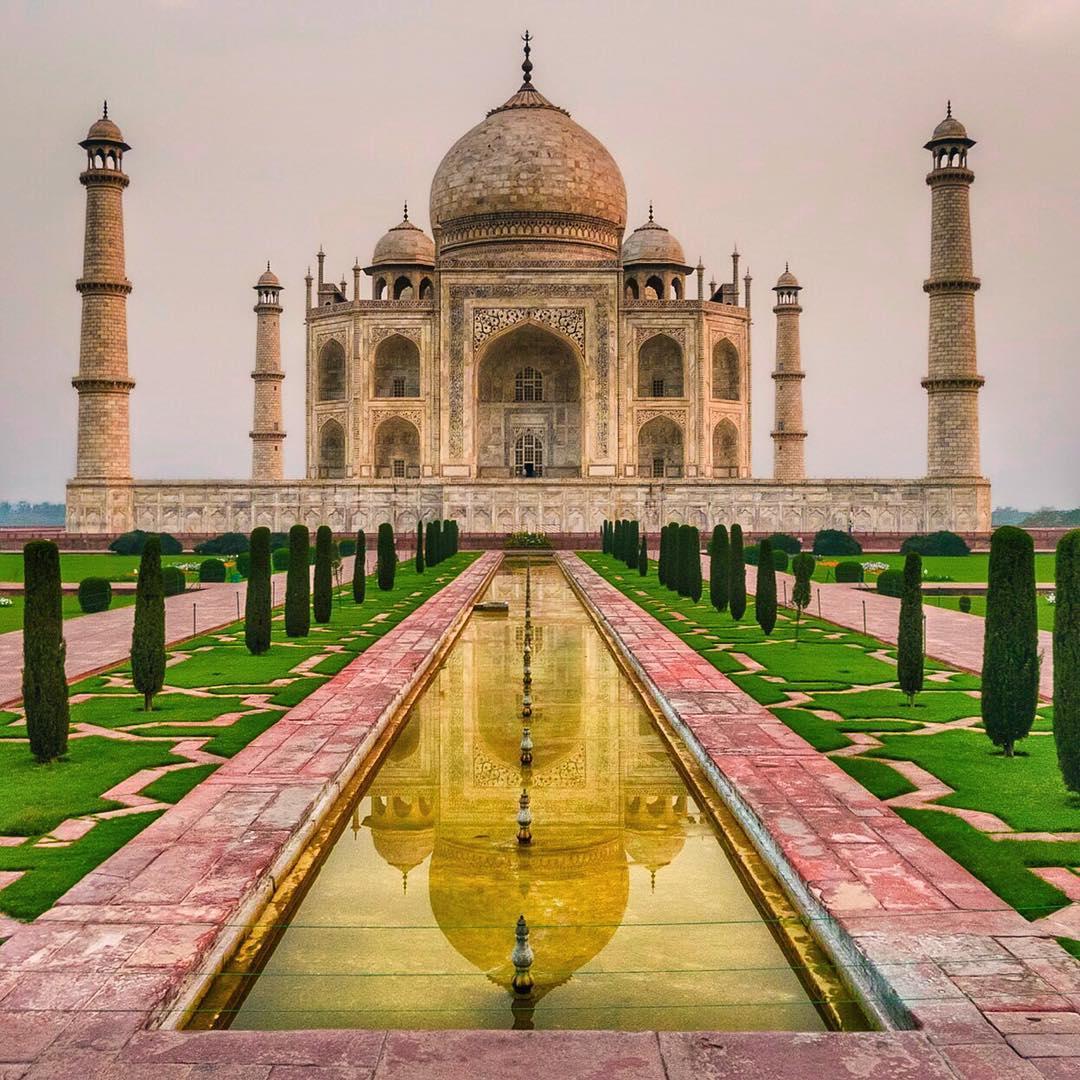 10369480_1006935662728376_1554826757_n