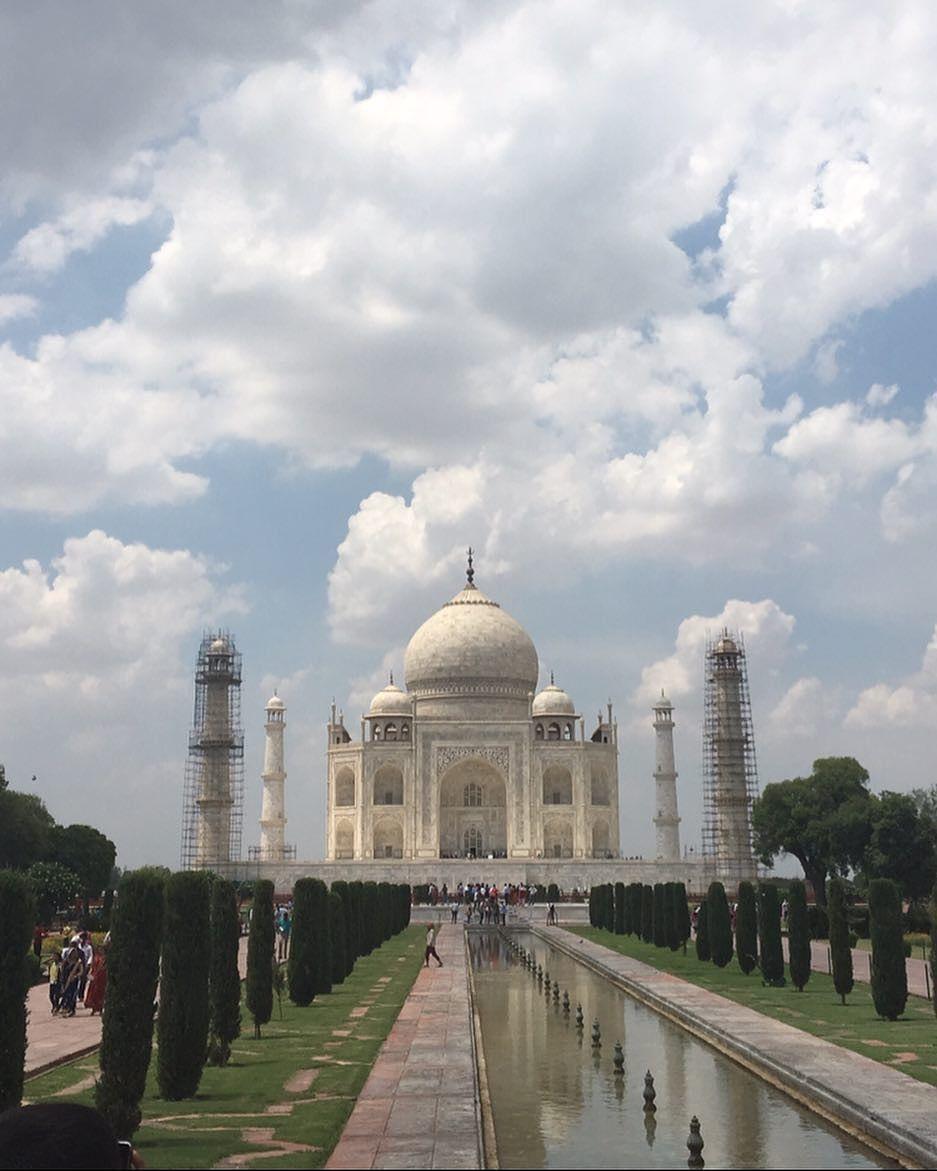 13651712_619420738219600_2111778764_n