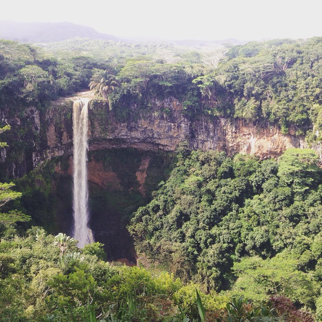 13774723_996871103759726_1378540248_n