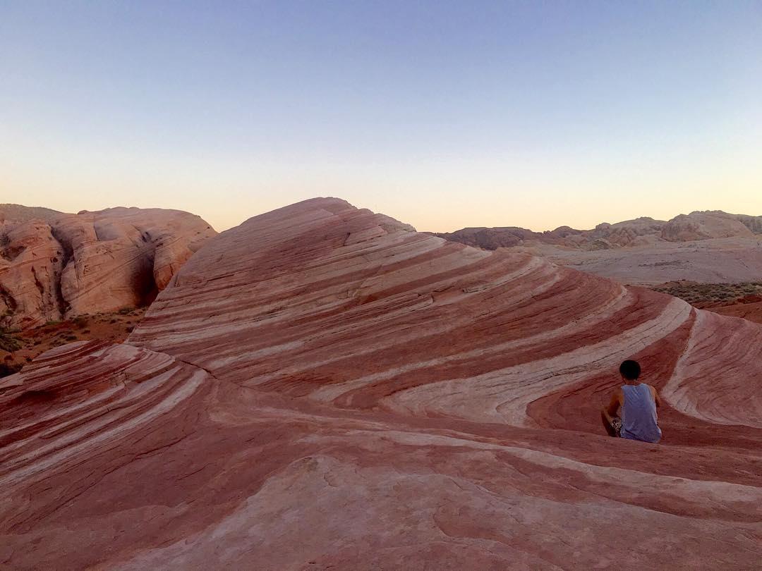 14359337_1780689282180888_914601343_n