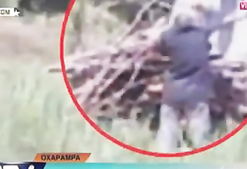 В Сети появились кадры сжигания заживо "колдуньи" в Перу <span class="color_red">- ВИДЕО</span>