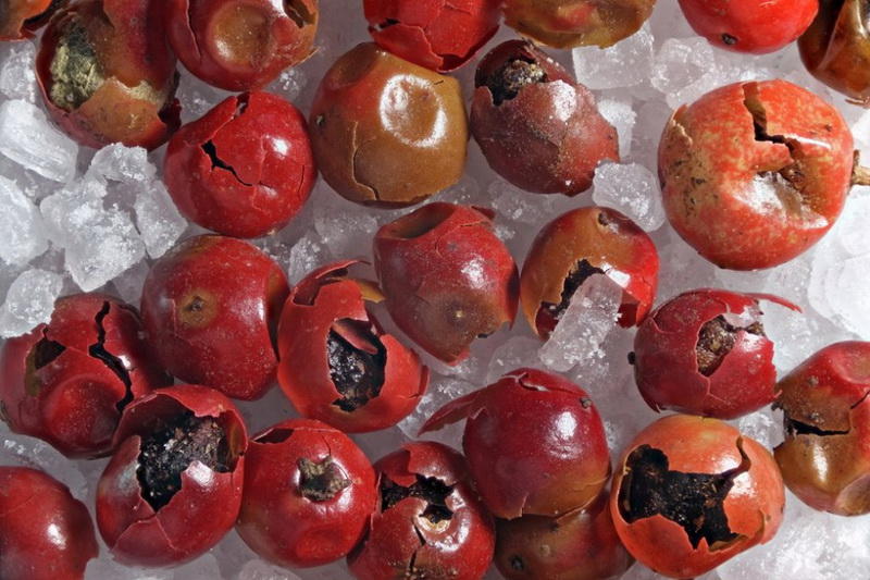 makrofotografiya-23-1-990x660