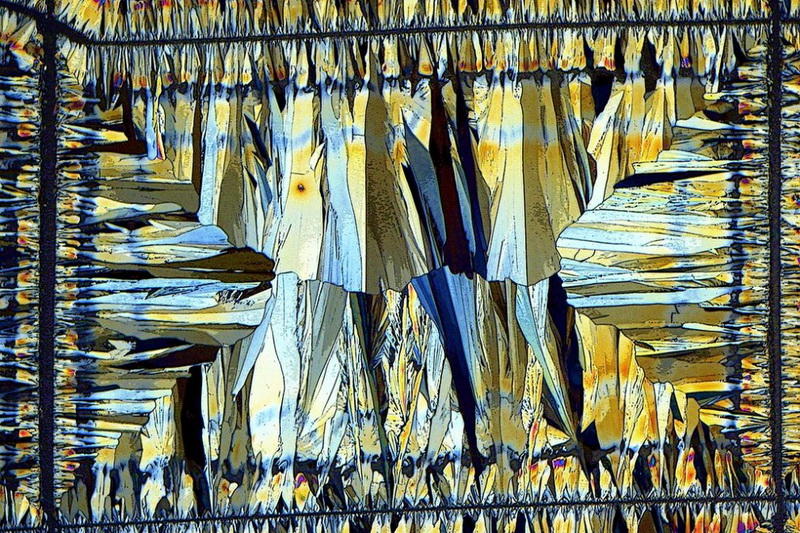 makrofotografiya-23-11-990x659