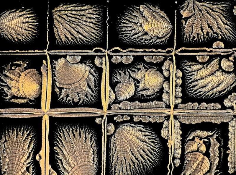 makrofotografiya-23-6-990x732