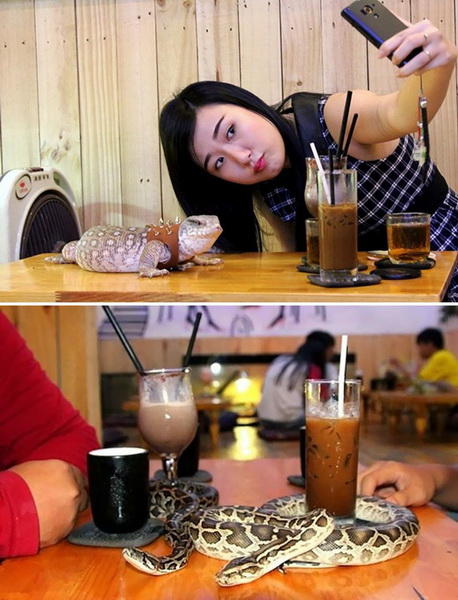 35 самых удивительных ресторанов мира, в которых должен поужинать каждый