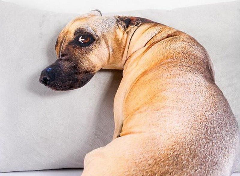 Оригинальные подарки на Новый год: необычные подушки