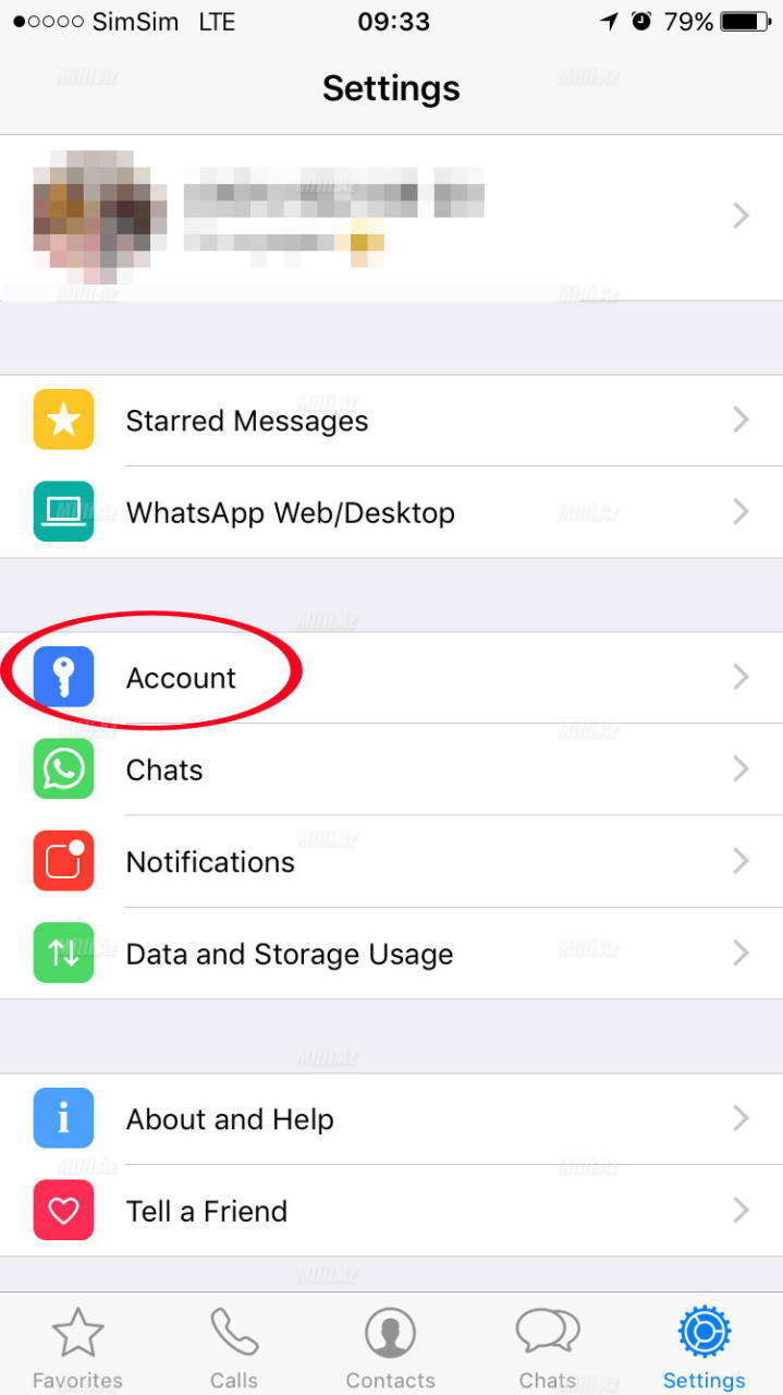"WhatsApp"da yeni funksiya: Təcili aktivləşdirmək lazımdır - ŞƏKİLLİ İZAH