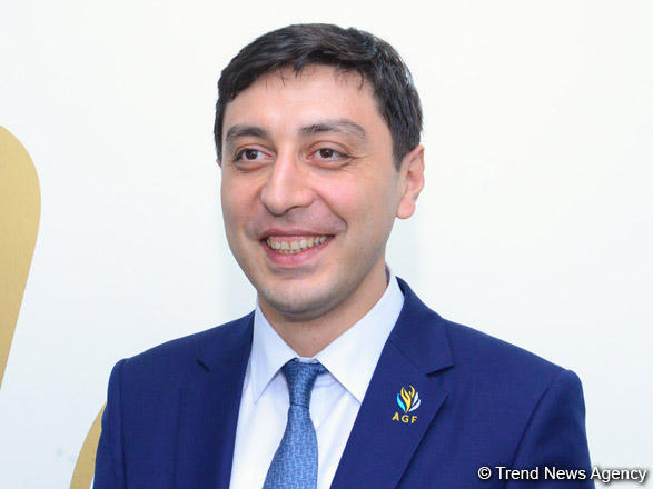 Фарид Гаибов: Опыт Федерации гимнастики Азербайджана применяется в других странах