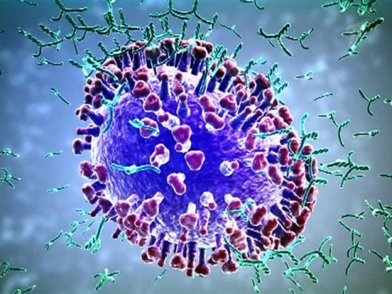 Создано антитело, заставляющее иммунные клетки уничтожать рак