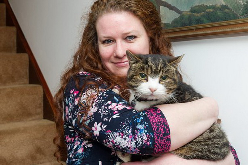 Пропавший кот вернулся к хозяйке 12 лет спустя