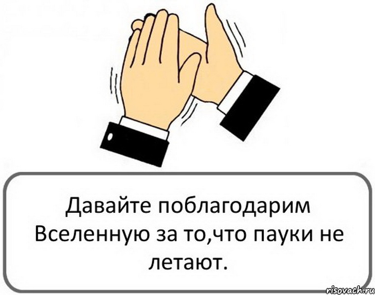 Что вы считаете своими руками Что вы считаете своими руками