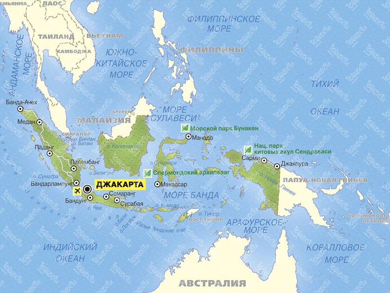 Загадочное исчезновение: в Индонезии пропало судно с 200 пассажирами