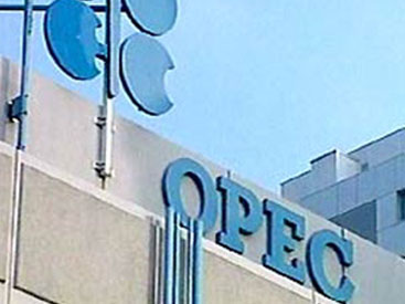 Сможет ли ОПЕК предотвратить процесс падения цен на нефть