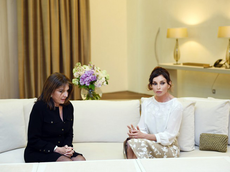 Первая леди Азербайджана Мехрибан Алиева встретилась с членом Сената Франции Натали Гуле