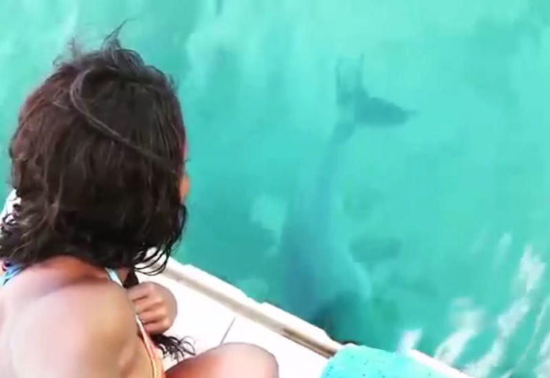 То, что дельфин вытащил из воды, шокировало девушку