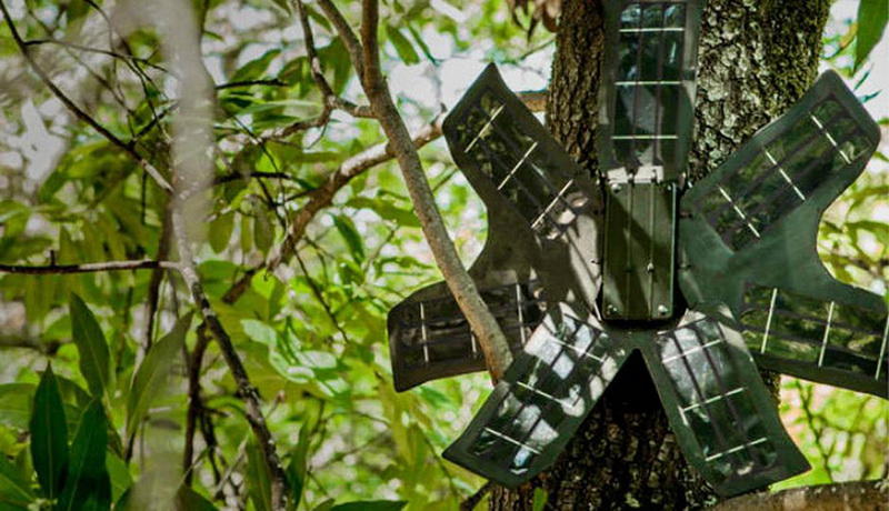 Вот как старые мобильники защищают тропические леса