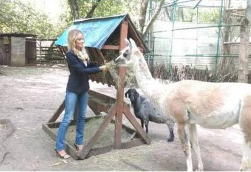 Жестокая расправа с животными на глазах у дочки Даны Борисовой