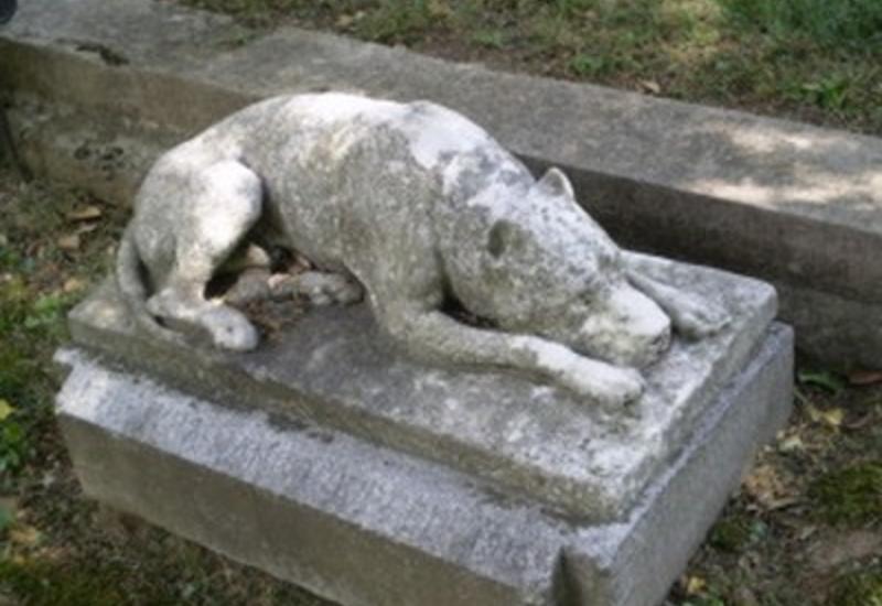 В Тбилиси открылось кладбище для животных