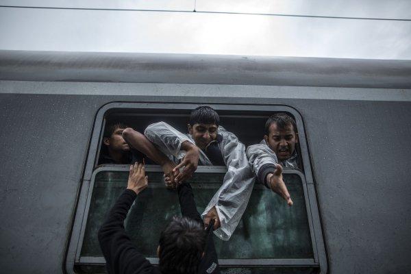 Беженцы привезли в Европу страшные болезни