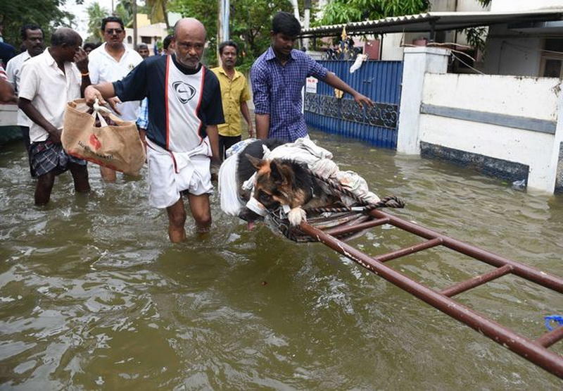Индия уходит под воду