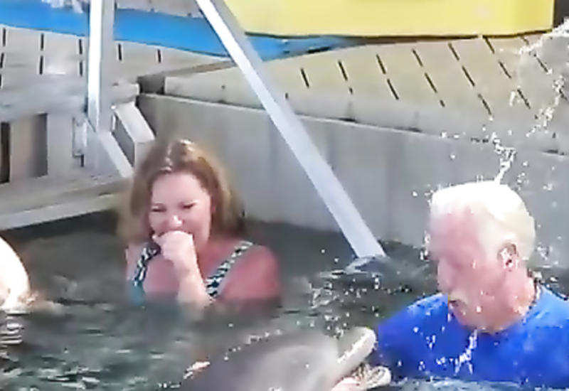 Дельфин оплевал старика