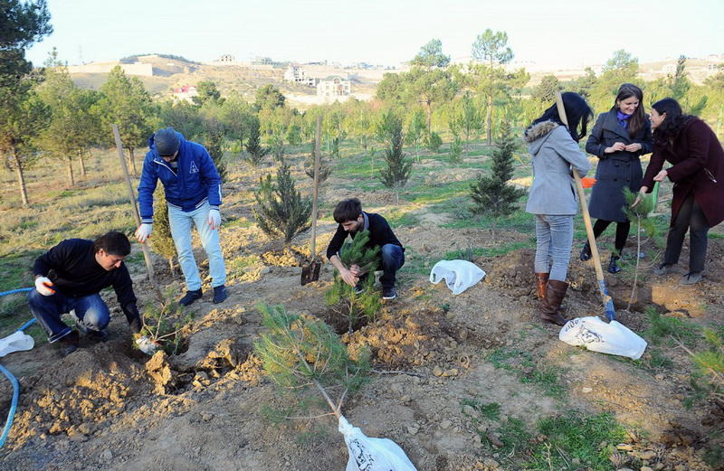 Соса-Соla и Университет АДА посадили 1000 деревьев в Велопарке БМХ