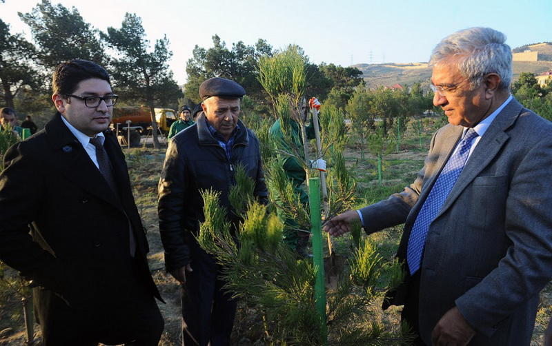 Соса-Соla и Университет АДА посадили 1000 деревьев в Велопарке БМХ