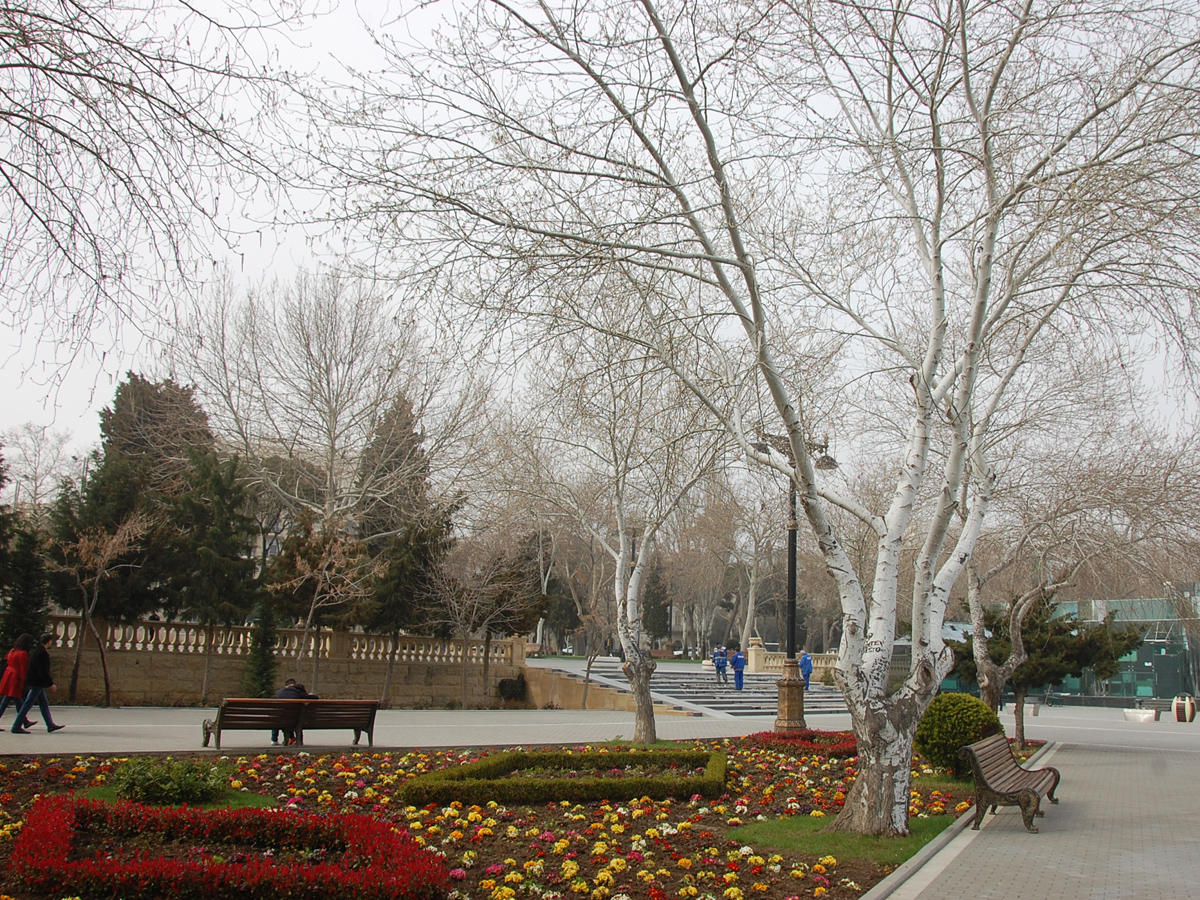 Прогноз погоды в баку на 14. Ветер в Баку. Азербайджан в марте. Баку климат.