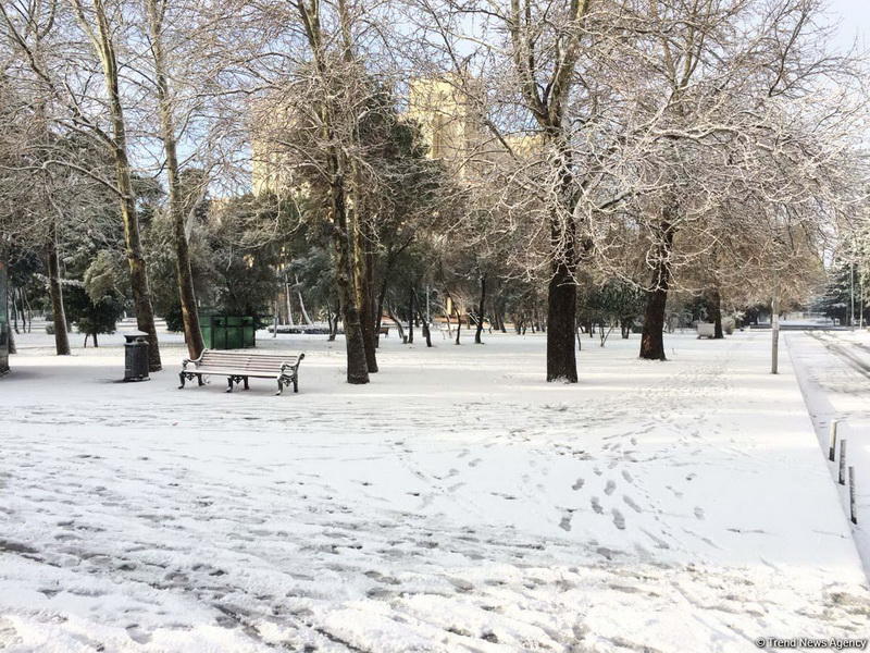 Как снег украсил Баку
