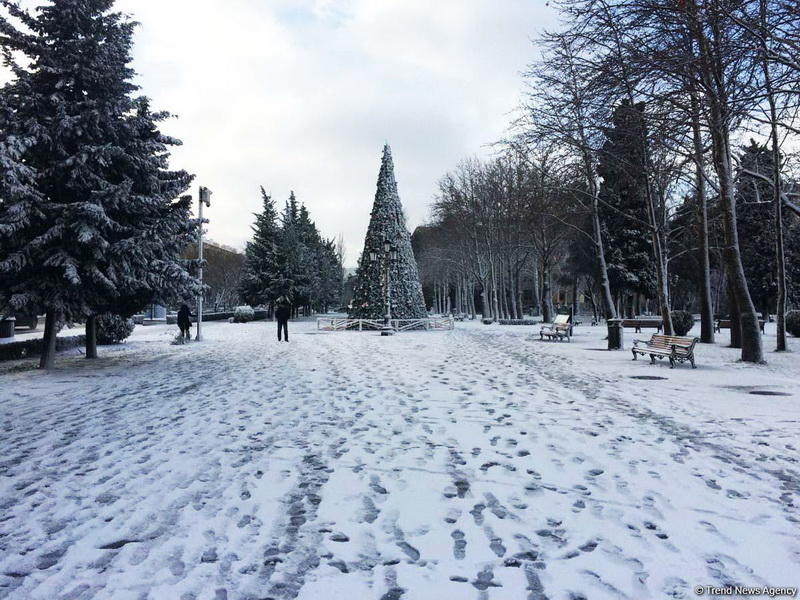 Как снег украсил Баку