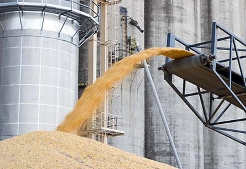 Азербайджан на достаточном уровне самообеспечивается пшеницей