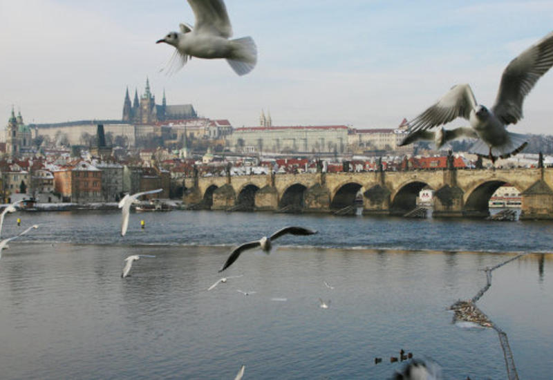 В Праге пройдут митинги противников и сторонников миграции
